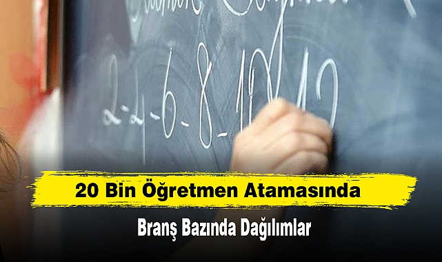 20 Bin Öğretmen Atamasında Branş Bazında Dağılımlar