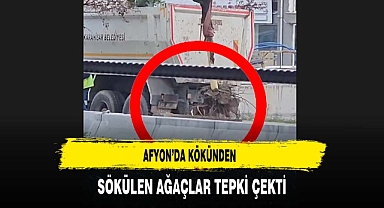 Afyon'da Kökünden Sökülen Ağaçlar Tepki Çekti