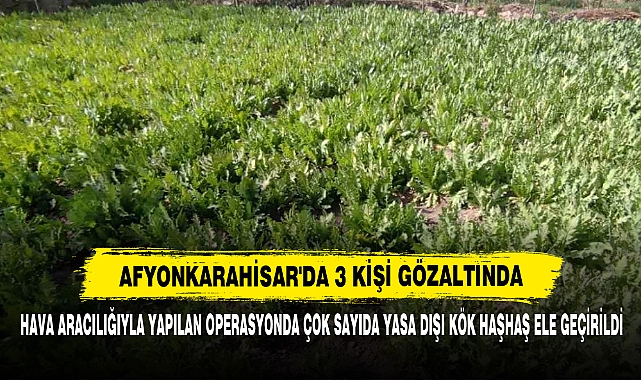 Afyonkarahisar'da 3 Kişi Gözaltında: Hava Aracılığıyla Yapılan Operasyonda Çok Sayıda Yasa Dışı Kök Haşhaş Ele Geçirildi