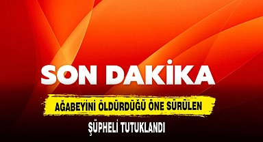 Ağabeyini Öldürdüğü Öne Sürülen  Şüpheli Tutuklandı