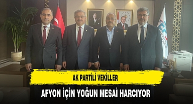 AK Partili Vekiller Afyon İçin Yoğun Mesai Harcıyor