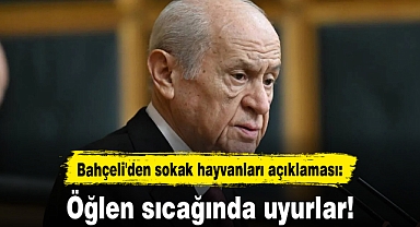 Bahçeli'den sokak hayvanları açıklaması: Öğlen sıcağında uyurlar!
