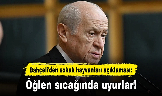 Bahçeli'den sokak hayvanları açıklaması: Öğlen sıcağında uyurlar!