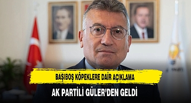 Başıboş Köpeklere Dair Açıklama AK Partili Güler'den Geldi