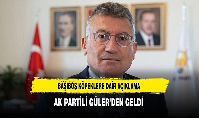 Başıboş Köpeklere Dair Açıklama AK Partili Güler'den Geldi