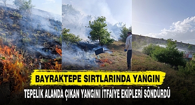 BAYRAKTEPE SIRTLARINDA YANGIN