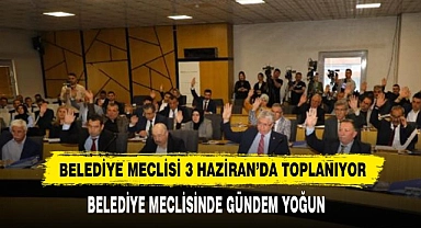 Belediye Meclisi 3 Haziran'da Toplanıyor