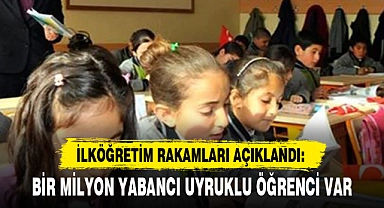 BİR MİLYON YABANCI UYRUKLU ÖĞRENCİ VAR
