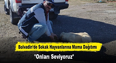 Bolvadin’de Sokak Hayvanlarına Mama Dağıtımı