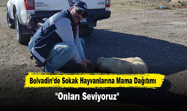 Bolvadin’de Sokak Hayvanlarına Mama Dağıtımı