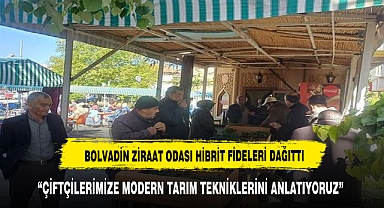 Bolvadin Ziraat Odası Önünde Hibrit Sebze Fideleri Üyelere Dağıtılmaya Başlandı