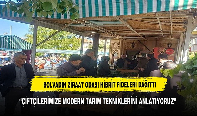 Bolvadin Ziraat Odası Önünde Hibrit Sebze Fideleri Üyelere Dağıtılmaya Başlandı