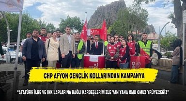 CHP GENÇLİK KOLLARINDAN ÜYE KAMPANYASI