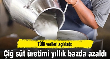 Çiğ süt üretimi yıllık bazda azaldı