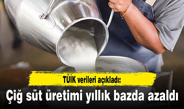 Çiğ süt üretimi yıllık bazda azaldı