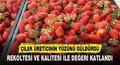 ÇİLEK ÜRETİCİNİN YÜZÜNÜ GÜLDÜRDÜ