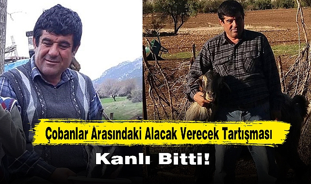 Çobanlar Arasındaki Alacak Verecek Tartışması Kanlı Bitti!