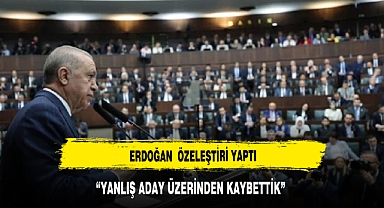 Cumhurbaşkanı Erdoğan'dan seçim özeleştirisi