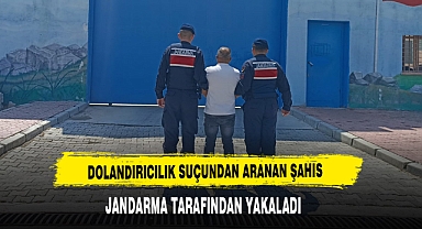 Dolandırıcılık Suçundan Aranan Şahıs Jandarma Tarafından Yakaladı