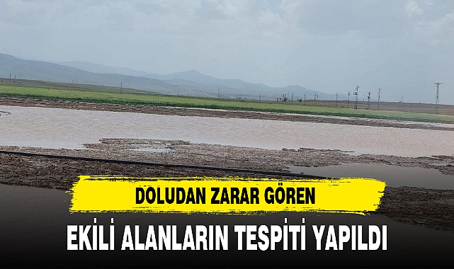 DOLUDAN ZARAR GÖREN EKİLİ ALANLARIN TESPİTİ YAPILDI
