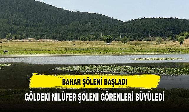GÖLDEKİ NİLÜFER ŞÖLENİ GÖRENLERİ BÜYÜLEDİ