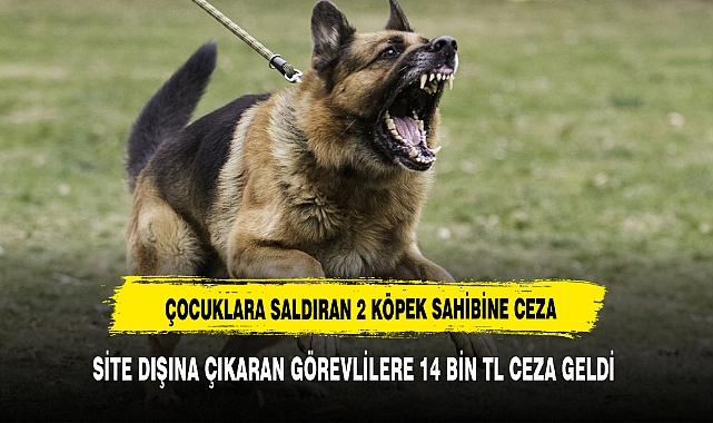 Çocuklara saldıran 2 köpeği site dışına çıkaran görevlilere 14 bin TL ceza kesildi