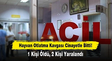 Hayvan Otlatma Kavgası Cinayetle Bitti!