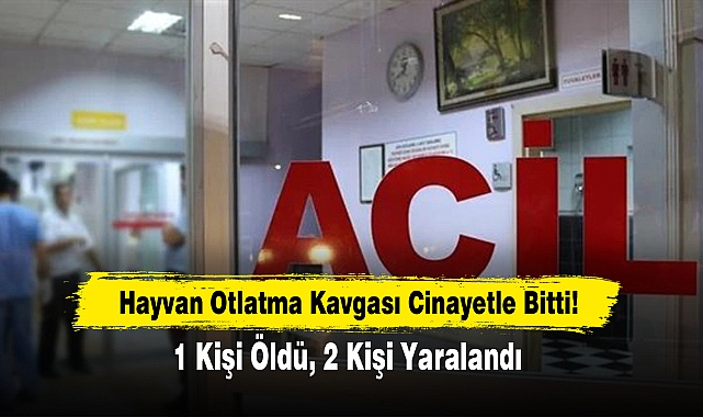 Hayvan Otlatma Kavgası Cinayetle Bitti!
