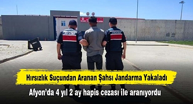 Hırsızlık Suçundan Aranan Şahsı Jandarma Yakaladı