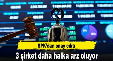 Horoz Lojistik, Yiğit Akü Malzemeleri ve Altınkılıç Gıda halka arz oluyor