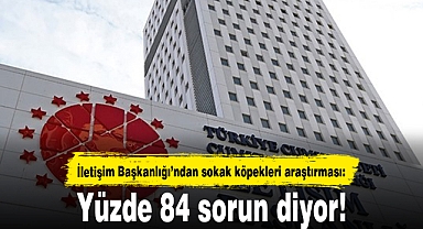 İletişim Başkanlığından sokak köpekleri araştırması: Yüzde 84 sorun diyor