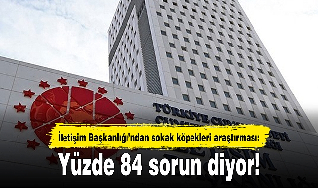 İletişim Başkanlığından sokak köpekleri araştırması: Yüzde 84 sorun diyor