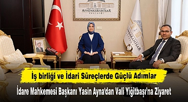 İş birliği ve İdari Süreçlerde Güçlü Adımlar: İdare Mahkemesi Başkanı Yasin Ayna'dan Vali Yiğitbaşı'na Ziyaret