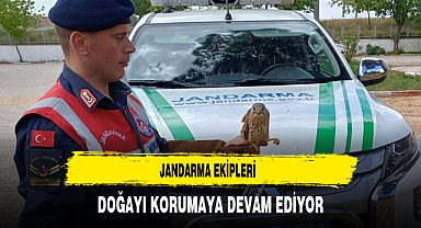 Jandarma Ekipleri Doğayı Korumaya Devam Ediyor