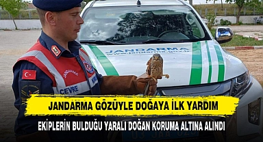 Jandarma Gözüyle Doğaya İlk Yardım: Ekiplerin Bulduğu Yaralı Doğan Koruma Altına Alındı