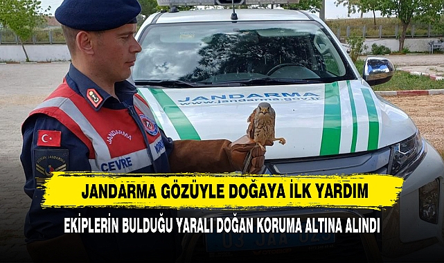 Jandarma Gözüyle Doğaya İlk Yardım: Ekiplerin Bulduğu Yaralı Doğan Koruma Altına Alındı
