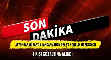 Jandarmadan DEAŞ'a Yönelik Operasyon 1 Kişi Gözaltına Alındı