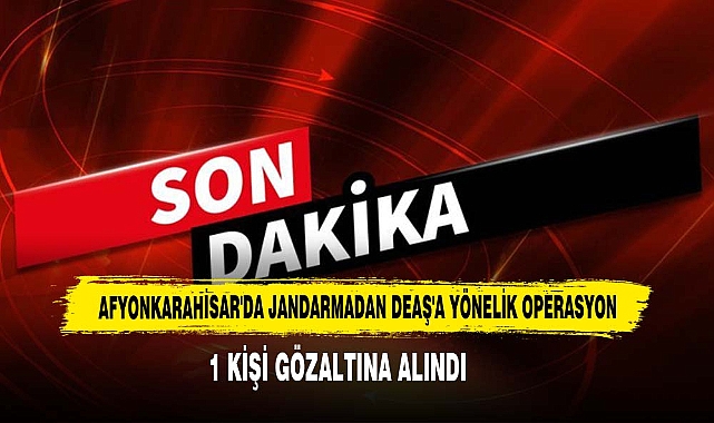 Jandarmadan DEAŞ'a Yönelik Operasyon 1 Kişi Gözaltına Alındı