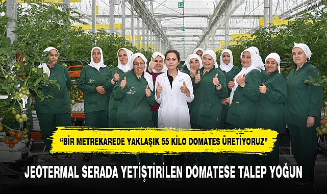 JEOTERMAL SERADA YETİŞTİRİLEN DOMATESE TALEP YOĞUN