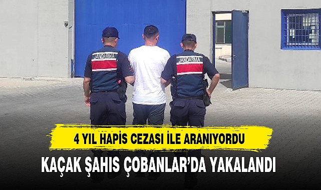KAÇAK ŞAHIS ÇOBANLAR'DA YAKALANDI