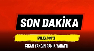 Kanlıca TOKİ'de Çıkan Yangın Panik Yarattı