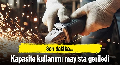 Kapasite kullanımı mayısta geriledi