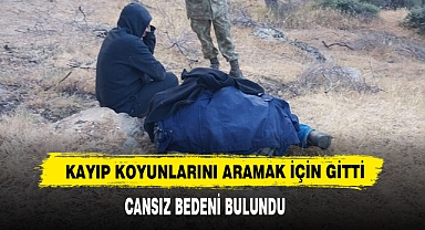 Kayıp Koyunlarını Aramak İçin Gitti Cansız Bedeni Bulundu