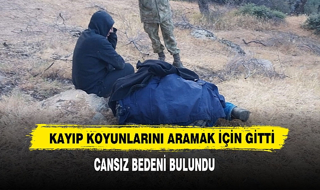 Kayıp Koyunlarını Aramak İçin Gitti Cansız Bedeni Bulundu