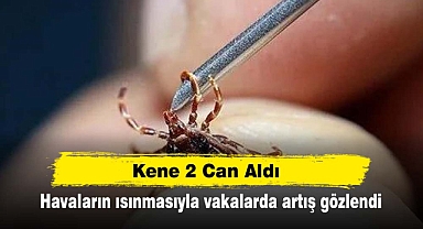 Kene 2 Can Aldı! Havaların ısınmasıyla vakalarda artış gözlendi
