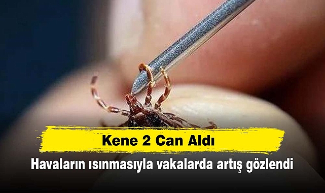 Kene 2 Can Aldı!  Havaların ısınmasıyla vakalarda artış gözlendi