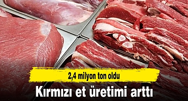 Kırmızı et üretimi 2023'te yıllık yüzde 8,8 artışla 2,4 milyon ton oldu