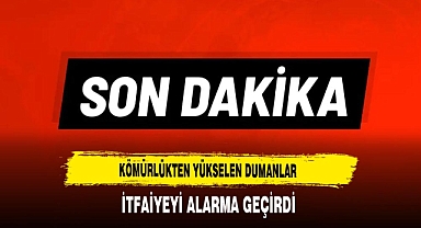 Kömürlükten Yükselen Dumanlar İtfaiyeyi Alarma Geçirdi