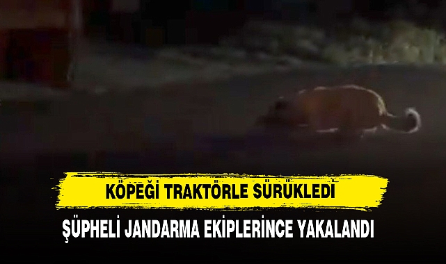 Köpeği Traktörle Sürükledi