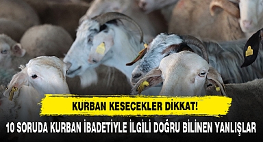 Kurban Kesecekler Dikkat: 10 Soruda Kurban İbadetiyle İlgili Doğru Bilinen Yanlışlar